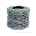 high quality Barbed wire